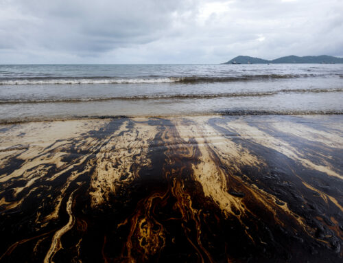 Microbiomes and bioremediation-Part2: Crude oil